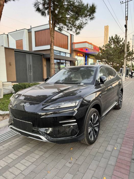 Byd chempion smart 2025/26 srocno