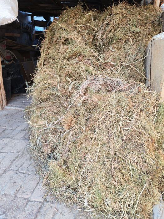 Хашак сотилади тайор богланган