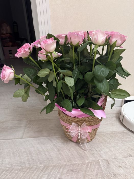 Розы в корзине 25 шт