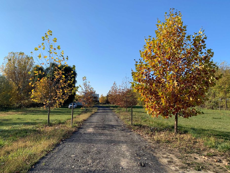 Teren de vanzare 600mp sau 1200mp parc Satul Olandez com Joita