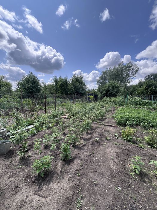 Продам дачу на берегу реки Деркул