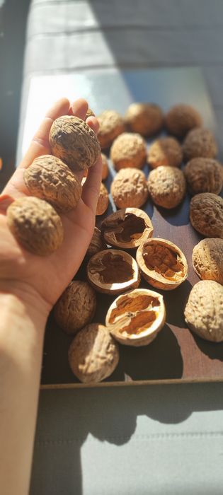 Черупка от едър орех за Handmade декорации