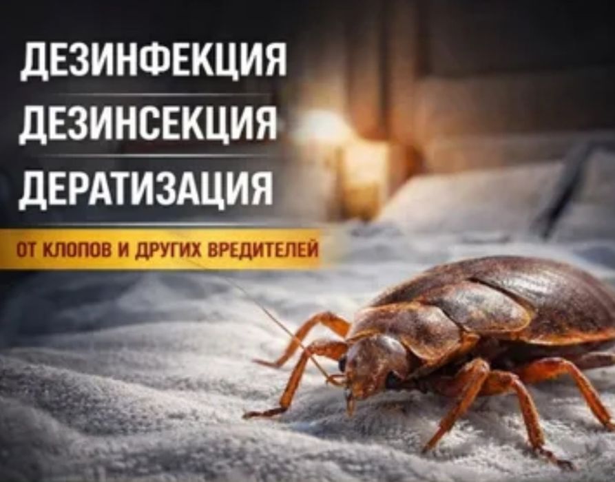 Дезинфекция-Тараканов и Клопов - Dezinfektsiya / dezinseksiya Toshkent на Olx