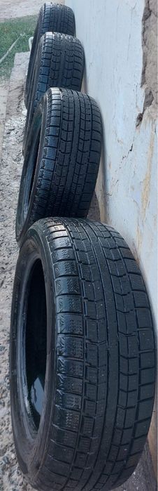 покрышка зимняя!