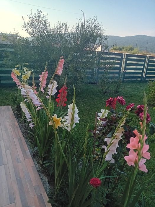 Vand vilă P+E,an construcție 2025,intabulata și recepționata.