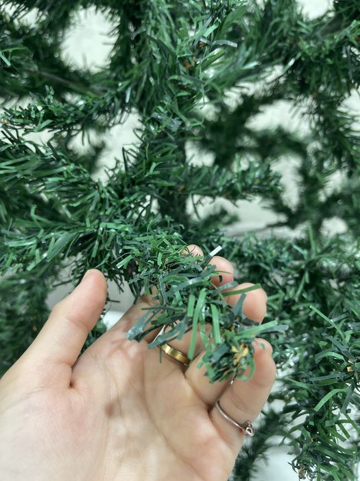 Елка стольная