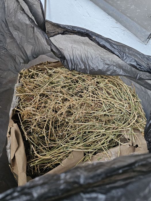 Полный стартовый набор для грызунов