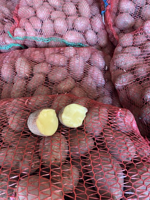 Vand cartofi alb/roz cu miez galben de consum si de saminta