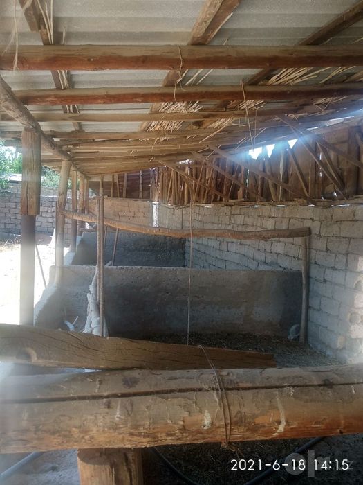 Qushqondi  zangota tumani