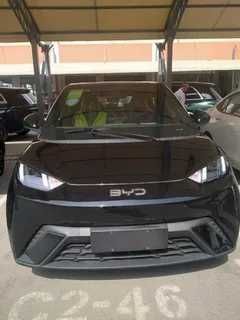 byd seagull pad zakaz