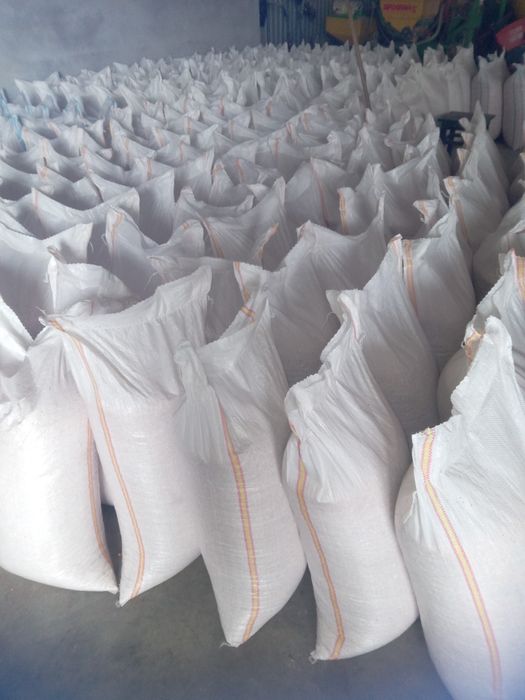 Porumb,Porumb Boabe,Malai la sac