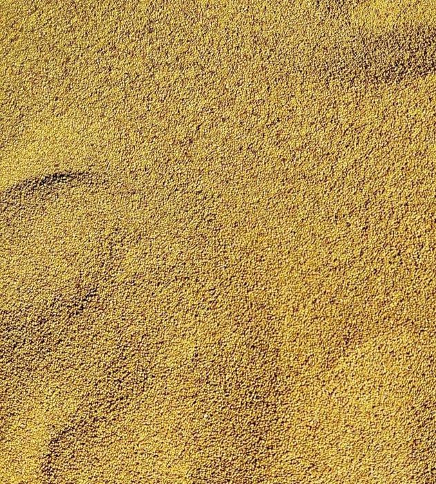 Sămânță  de lucerna