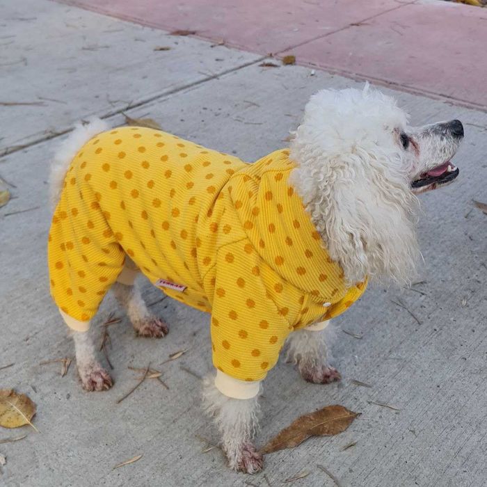 Одежда для животных от TURKAN.