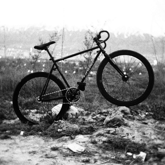 Horse fixed gear