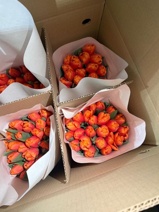 Продаю тюльпаны свежие по 700