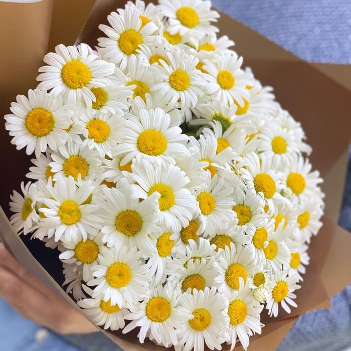 Нежные ромашки — от 5 000 ₸!