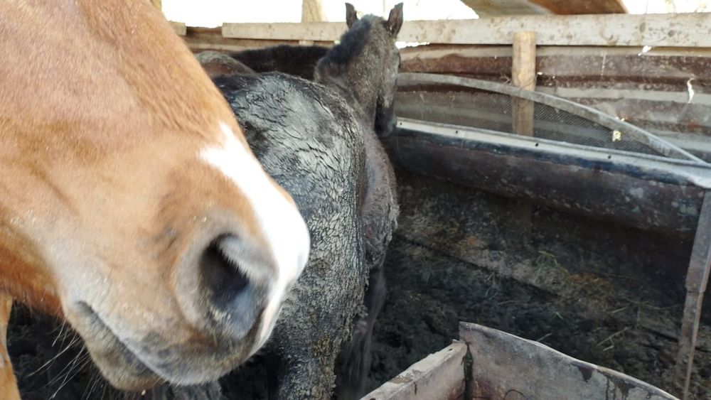 Үлкен кеуделі қыздардың әдемі эротикалық фотосуреттері