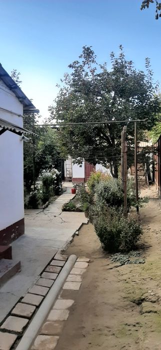 Дом в районе сельхоз института