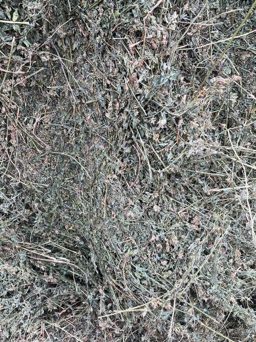 Baloti lucerna 160x120