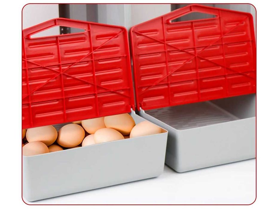 Doua cuiburi asamblate pentru pui si gaini clocitoare