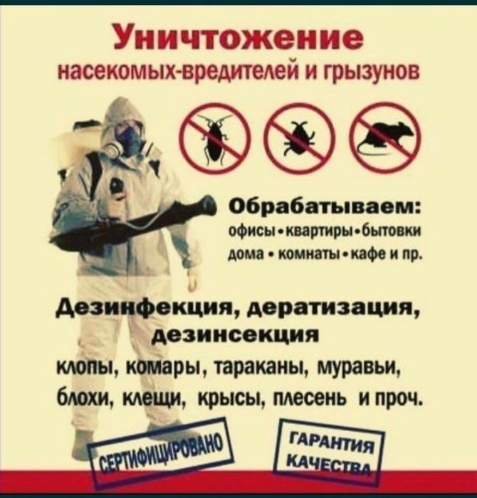 Дезинфекция от клопов. Уничтожение тараканов. Обработка | Dezinfeksiya