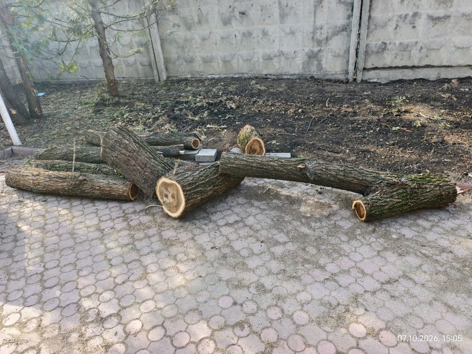 Дрова напиленные