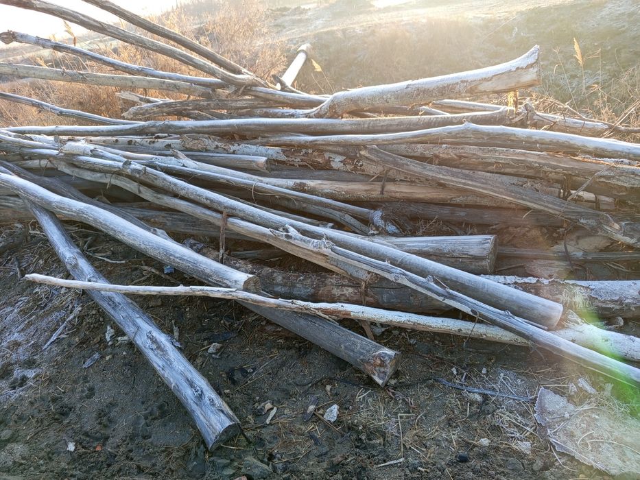 Terak arzon va kelishilgan narxda sotiladi