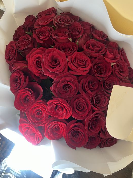 51шт роза сатылады