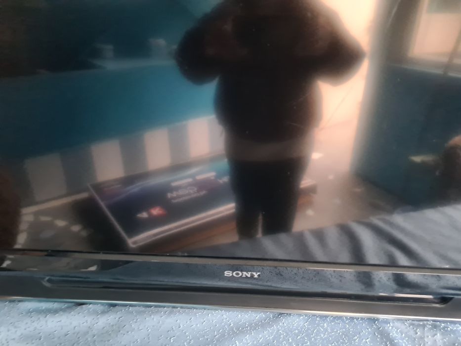 Плазменный телевизор SONY