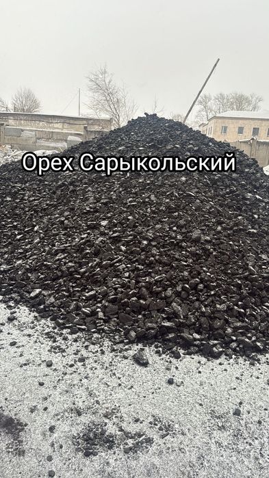 Орех каражыра сорт орех