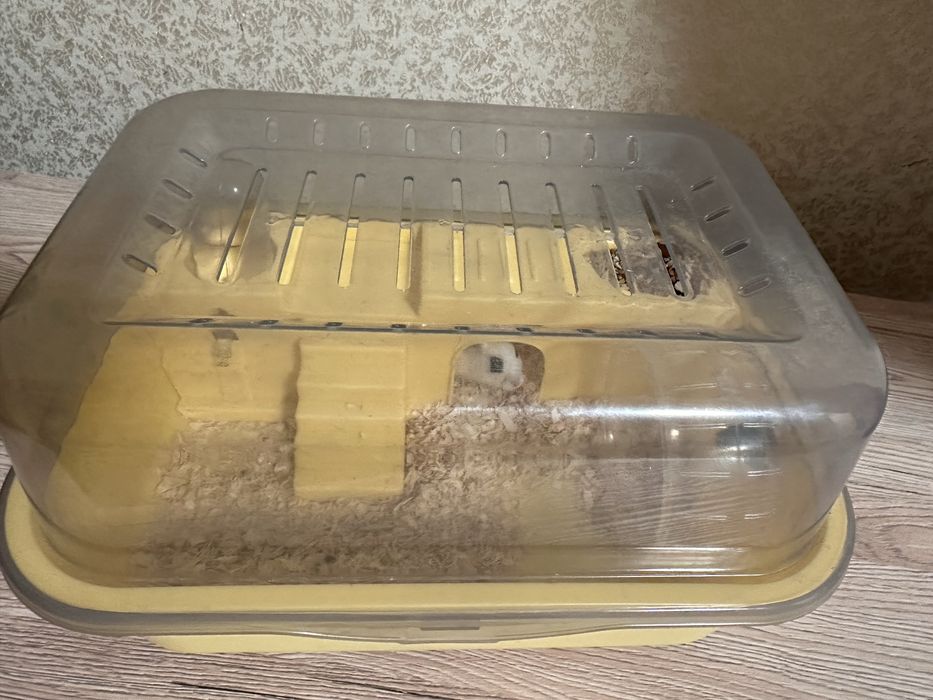 Продам хомяка с клеткой