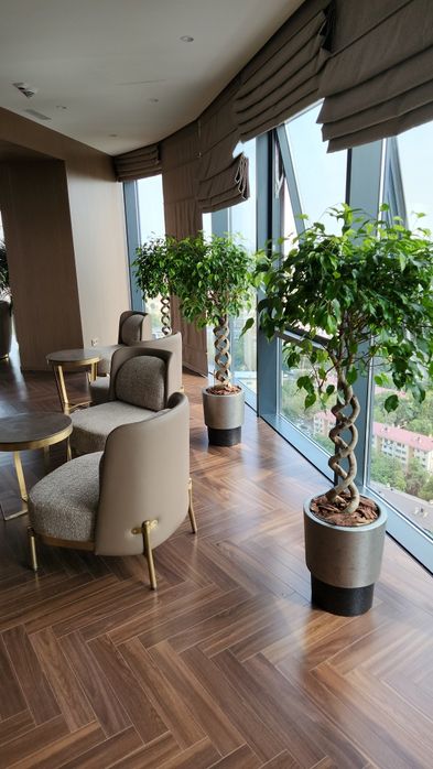 Уход за растениями