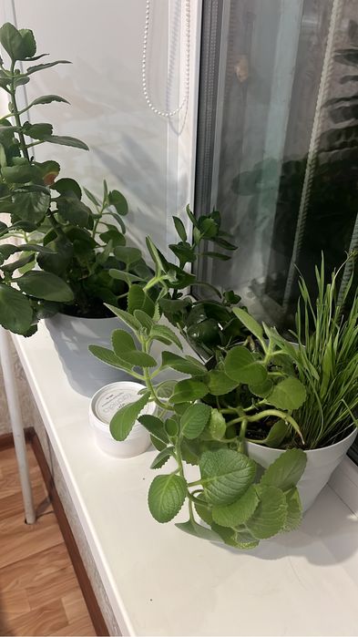 Продам 3 ех комнатный квартиру