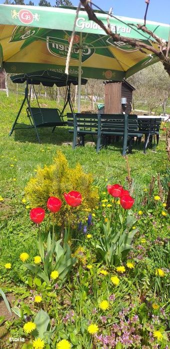 Cabana in zona Gherla, teren 1617 mp, zona linistita – relaxare sau