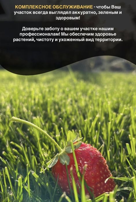 Газон ,автополив,микроклимат,сетка от солнце