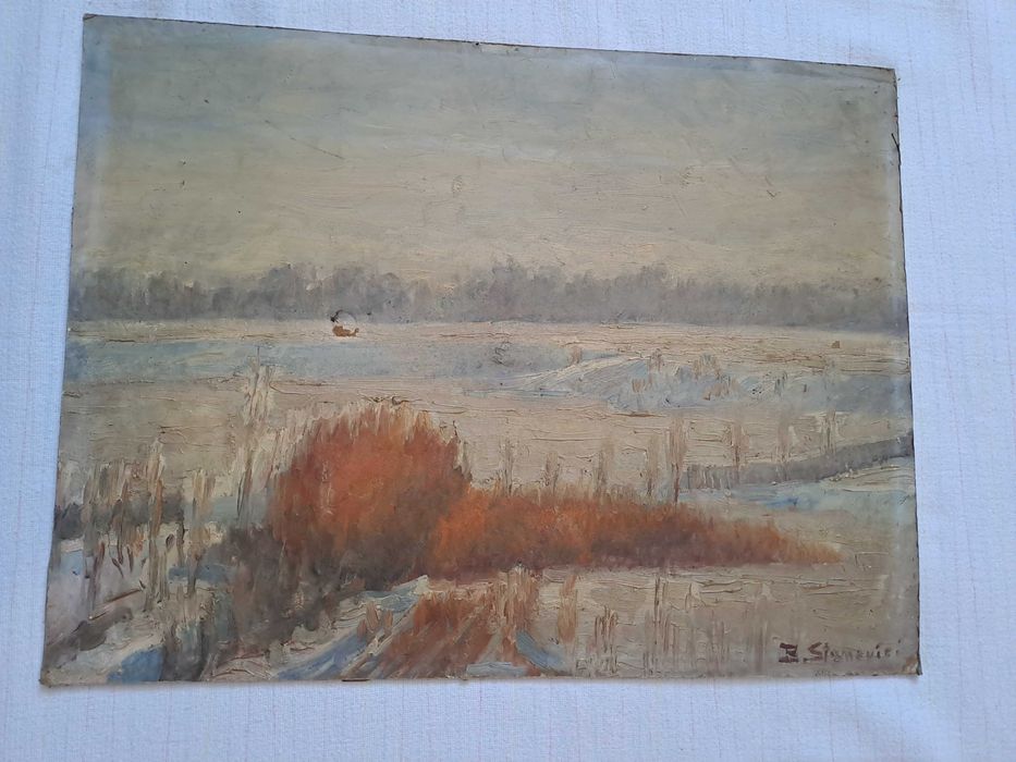 tablou pictura pe pfl 52/40 cm semnat B Stanovici