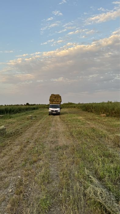 Коневоз перевозка животных