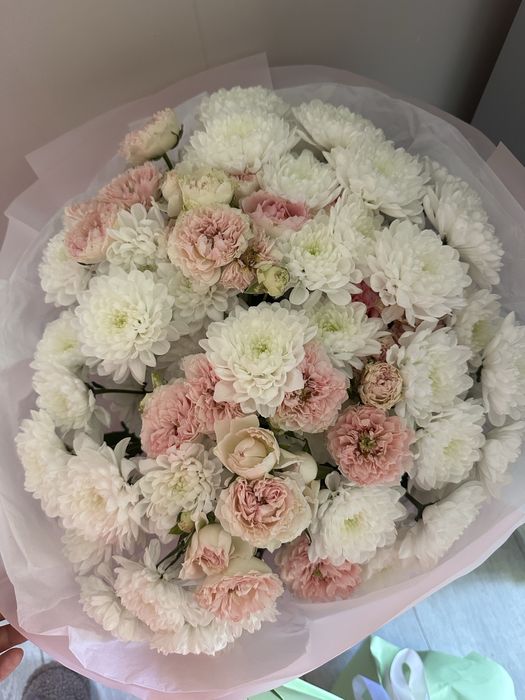 Нежный хризантема