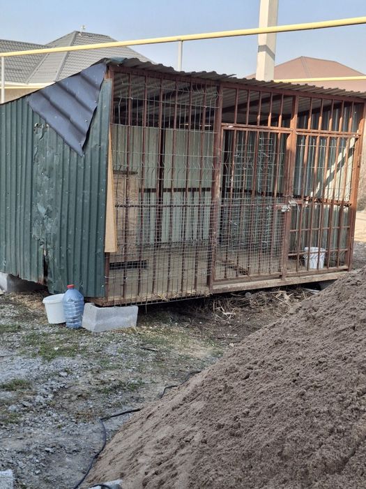 вольер для собак