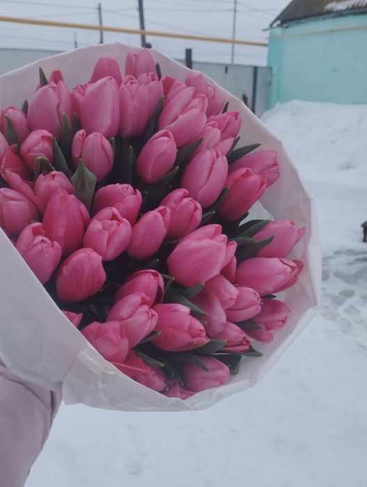 Тюльпаны в наличие