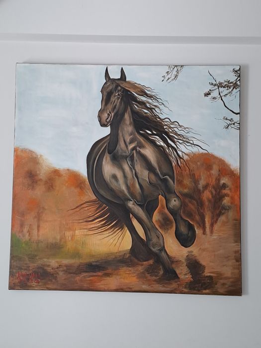Tablouri pictor profesionist