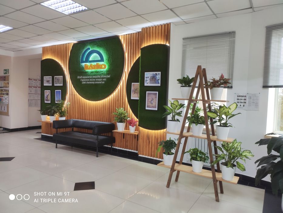 Изготовления рекламный и дизайн оформления