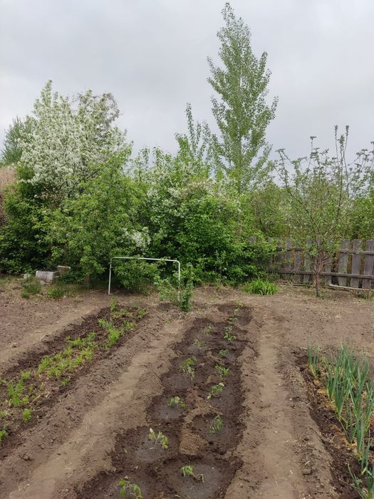 Продам дачу сад Здоровье