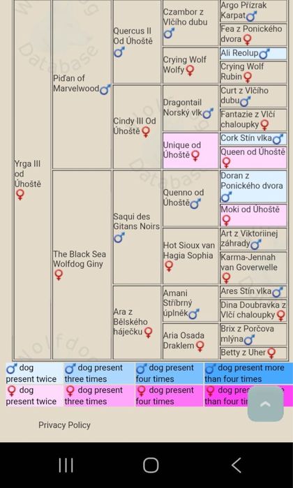 Волкодав Чехословацкий