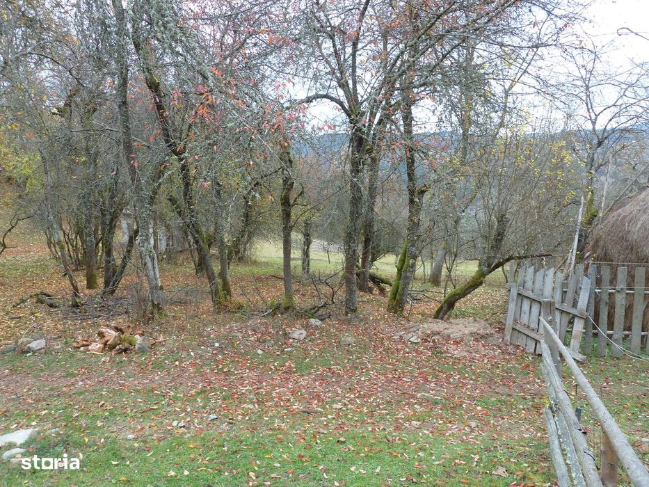 Casă + 4,4 ha (arabil, pășune, pădure), Scărișoara, Alba