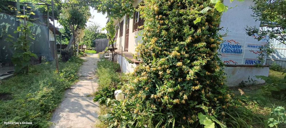 Vand teren 830 mp cu deschidere la strada 22 ml