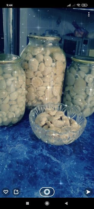 Белый горный гриб 3500