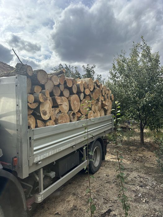 Lemne de foc esenta tare