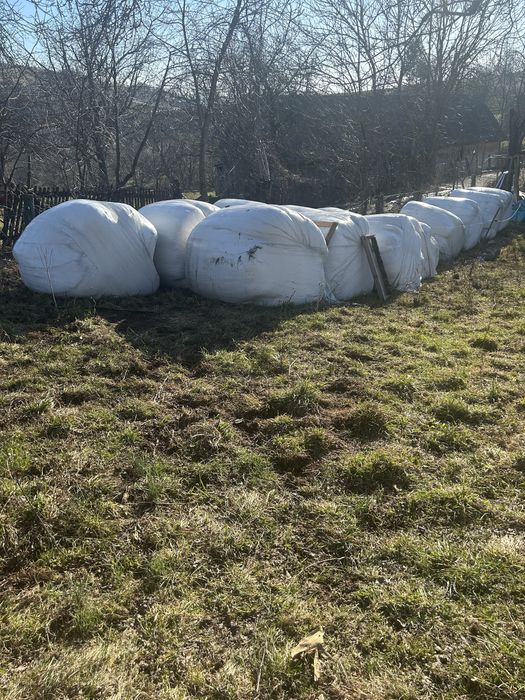 Vand 10 baloți infoliați