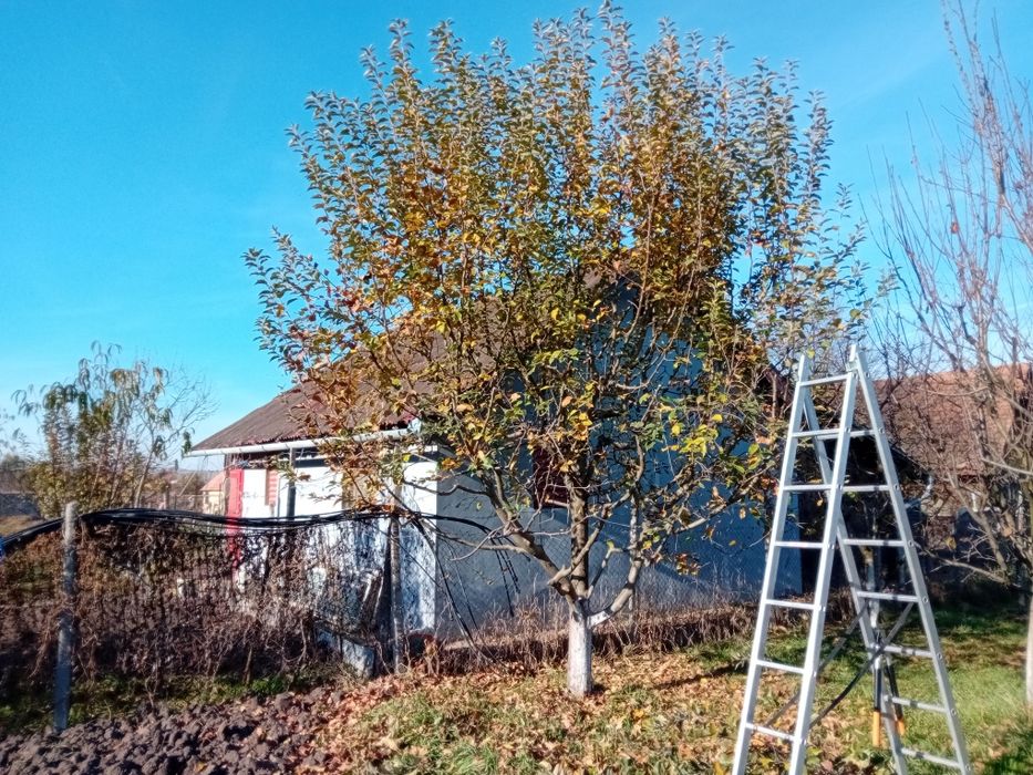 Gradinar/ Giardiniere cu 7 ani de experiență in Italia